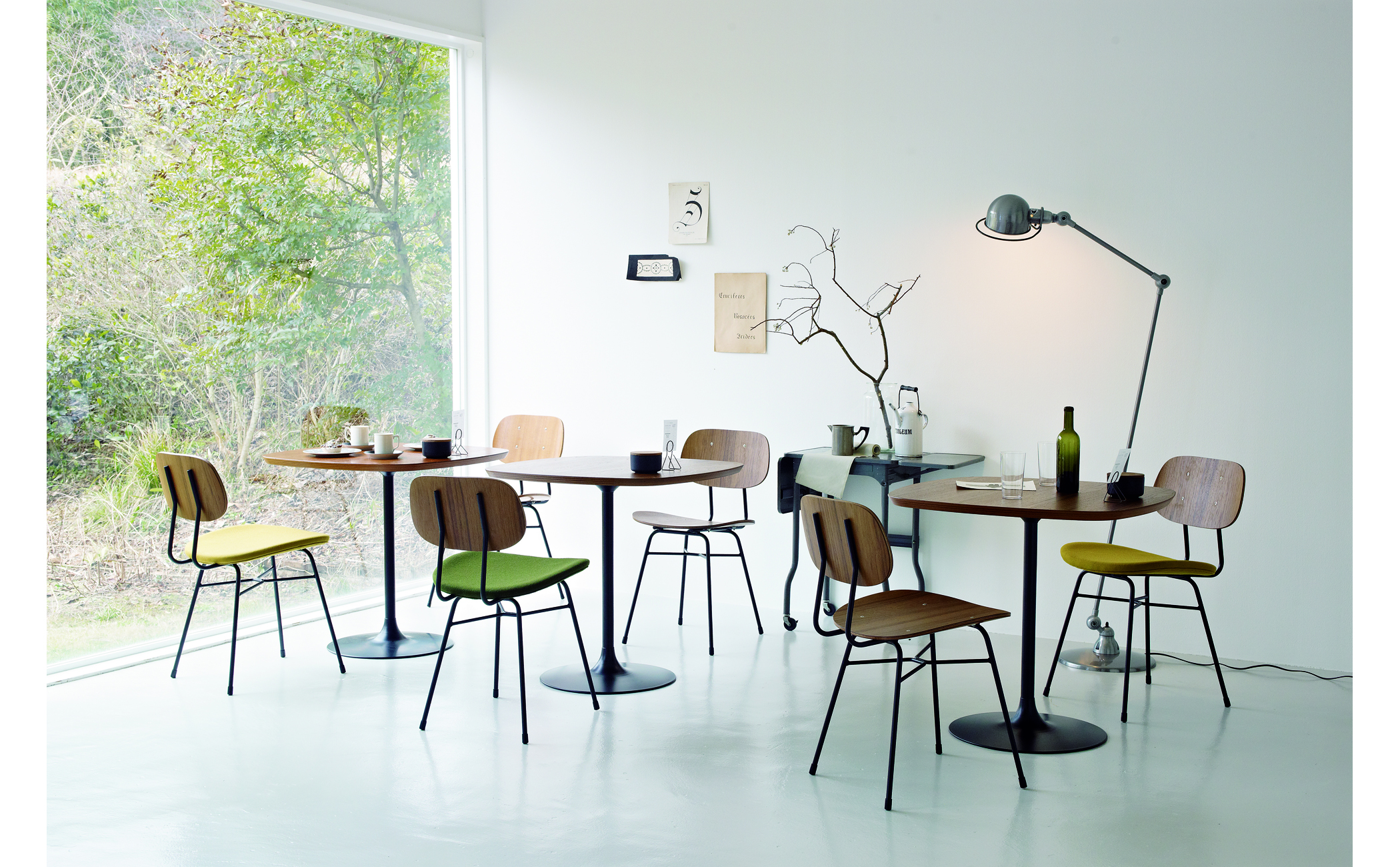 Plankton chair｜FURNITURE｜graf
