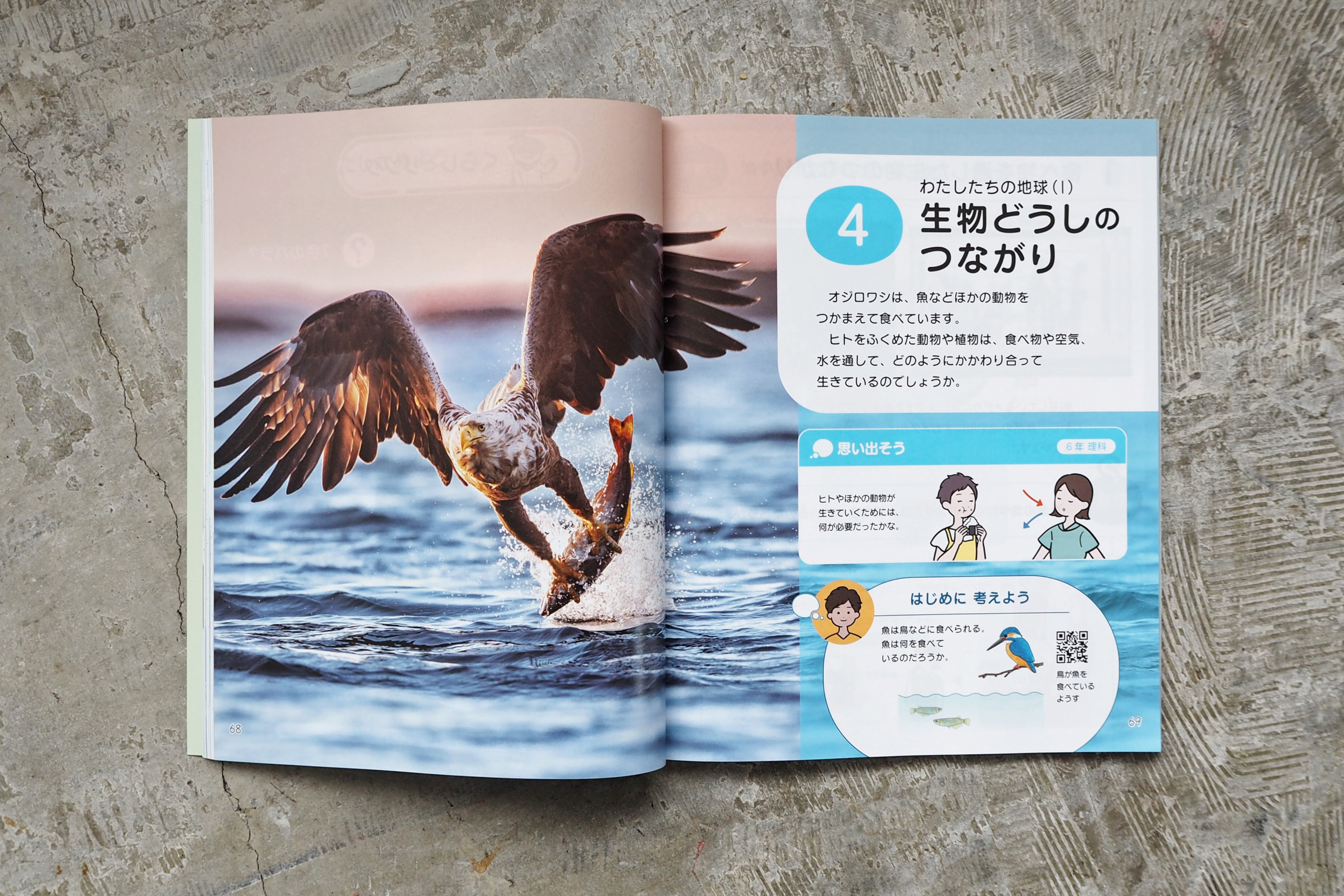 令和6年度用小学校教科書 理科教材 3年から6年生のデザインを